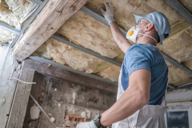 Best Blown-in Insulation  in Blackhawk, SD